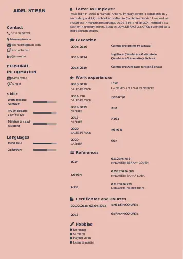 Self Employed resume example